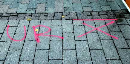 You are here.